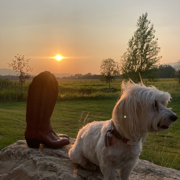 Cowgirl Western boots - Picture 2 of 4